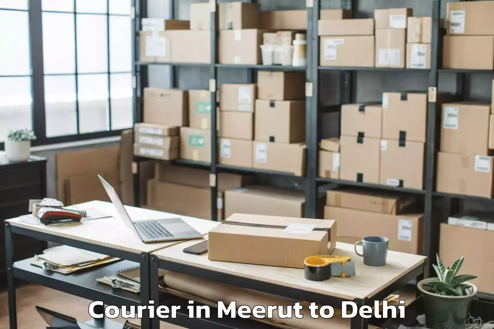 Expert Meerut to Delhi Technological University Courier